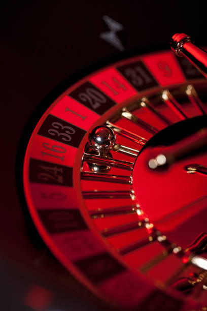 33 togel Bingo